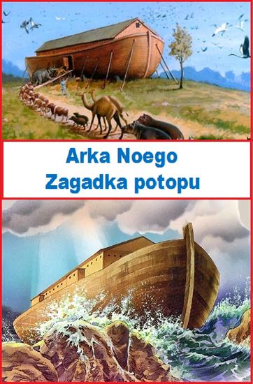 Arka Noego Zagadka potopu - 2007 - Arka Noego Zagadka potopu - 2007.jpg